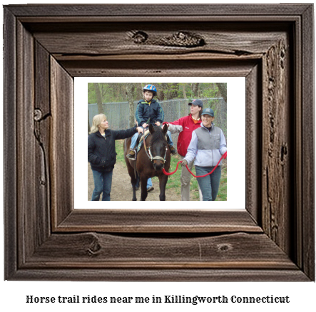 horse trail rides near me in Killingworth, Connecticut